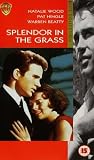 Splendor In The Grass [UK IMPORT]
