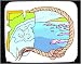 Mouse Pad with map, navigation, topology
