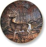 Wild Wings Big Game Plates - Rule 6 Get Lucky - B0006U388A
