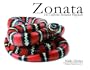 Zonata: The California Mountain Kingsnake