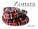 Book Zonata: The California Mountain Kingsnake