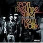 Mtv Unplugged in New York (Ltd.Del.Edt.)