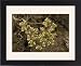 Framed Prints of All-seed from Ardea Wildlife Pets