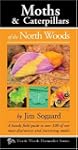 Moths & Caterpillars of the North Woods