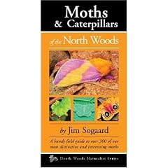 Moths & Caterpillars of the North Woods