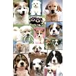 (24x34) Keith Kimberlin Puppies (Collage 2) Art Poster Print