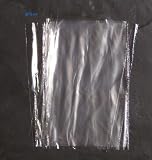 100 Flachbeutel PE Beutel Plastikt�ten 200x300 25m� + 1 Glasbeutel
