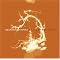 some great, captivating CDs