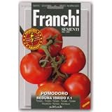 【FRANCHI社種子】【106/104】イタリアントマト REDUNA F1