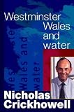 Westminster, Wales and Water (University of Wales - Pocket Guide)