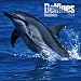 Book Delfines/Dolphins 2004 Calendar