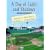 A Day of Light and Shadows: One Die-Hard Red Sox Fan and His Game of a Lifetime: The Boston-New York Playoff, 1978