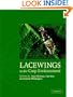 Lacewings in the Crop Environment