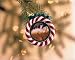 Candy Cane Wreath 1999 Christmas Ornament: Includes a Gift Booklet with Scripture and Special Christmas Story for Each Ornament That Can Be Shared for