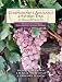 Manual AIS Practice Set: CAST by Frank A. Buckless ISBN 0131454234