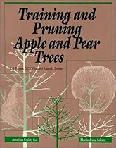 Training and Pruning Apple and Pear Trees