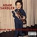 Adam Sandler, What The Hell Happened To Me? by SANDLER,ADAM (1996-02-13) &#x3010;&#x4E26;&#x884C;&#x8F38;&#x5165;&#x54C1;&#x3011;, 発売中