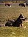 The Australian Cattle Dog Annual - 2004 (Volume 10)