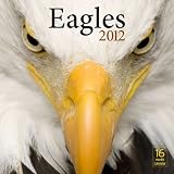 2012 Eagles Wall calendar