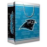 Carolina Panthers Team Logo Gift Bag (Medium)