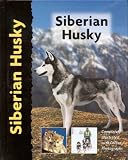 Siberian Husky (Pet Love)
