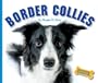 Border Collies (Domestic Dogs)