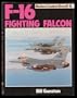 F-16 Fighting Falcon (Modern combat aircraft)