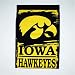Iowa Hawkeyes NCAA Vertical Flag (27x37) by Wincraft