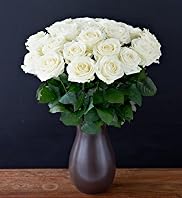 Autograph Avalanche+ Roses - Two Dozen