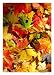 Fall Leaves Silk Reflections Garden Size Flag