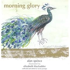 Morning Glory