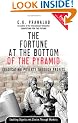 The Fortune at the Bottom of the Pyramid: Eradicating Poverty Through Profits