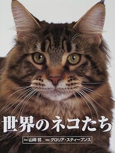 世界のネコたち