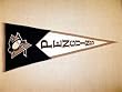 Pittsburgh Penguins - Classic NHL Hockey (Pennants)