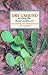 Book Dry Ground: Writing the Desert Southwest