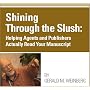 Shining Through the Slush