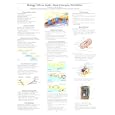 Biology: Life on Earth - Basic Concepts