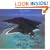 The Bay Islands of Honduras