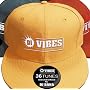 Di VIBES~Japanese Reggae Selection 2006~