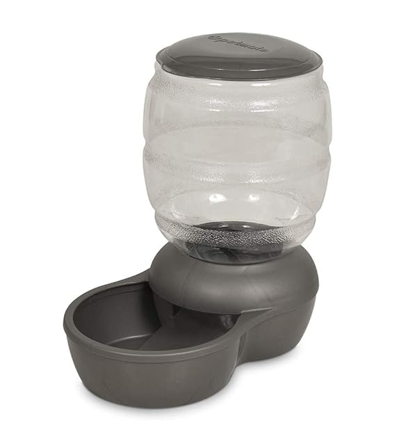 Petmate Replendish Feeder With Microban Automatic Cat And Dog