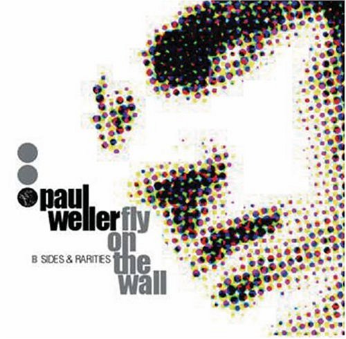 Paul Weller - Fly On The Wall  B-sides & Rarities 1991-2000 - Zortam Music