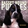 Basset Hound Puppies 2004 Calendar
