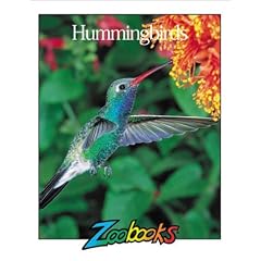 Hummingbirds