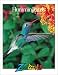 Hummingbirds