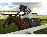 5156QuwCCBL. SL160  Photographic Print of Racing   Haydock from PA Photos