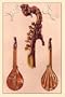Art Poster, Cetera, by Antonius Stradivarius - 18.75 x 27.5