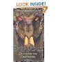 Discover The Destroyer (Everworld #5)