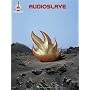 Audioslave (Guitar Recorded Version)