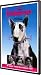 Frankenweenie 11