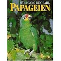 Papageien: Lebensweise, Arten, Zucht